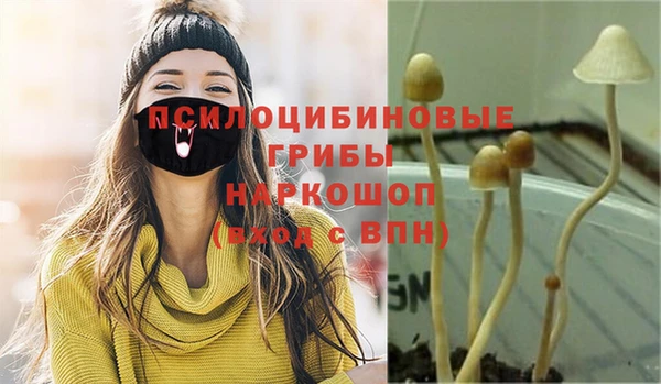 мяу мяу кристалл Дмитров
