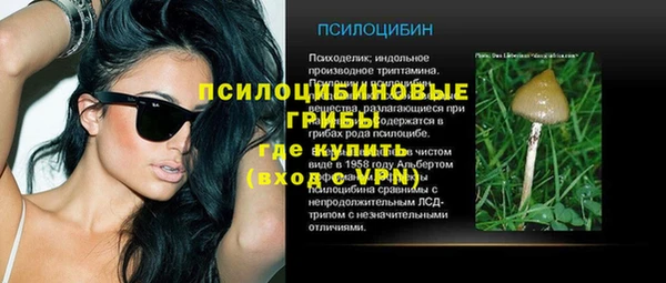 мяу мяу кристалл Дмитров