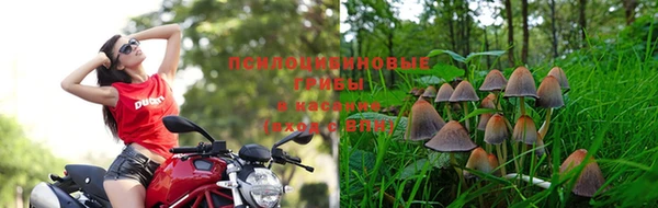 мяу мяу кристалл Дмитров